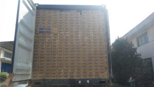 Export Experience Reference