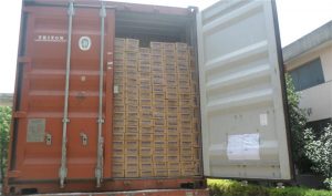 Export Experience Reference